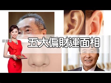 豬鼻面相